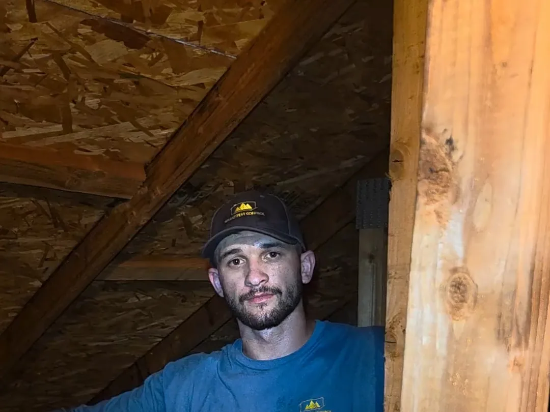 Summit Pest Control technician during an attic inspection