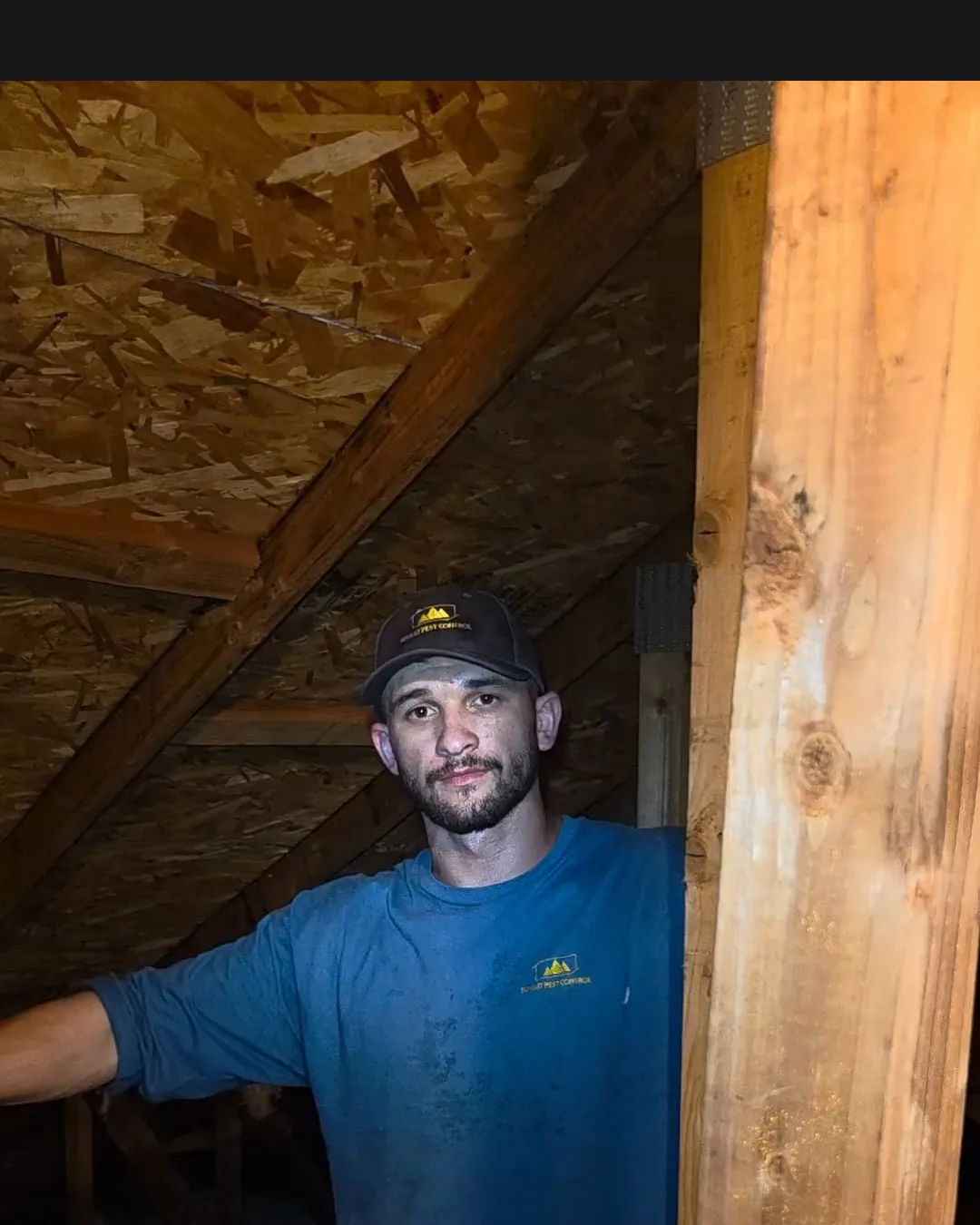 Summit Pest Control technician during an attic inspection