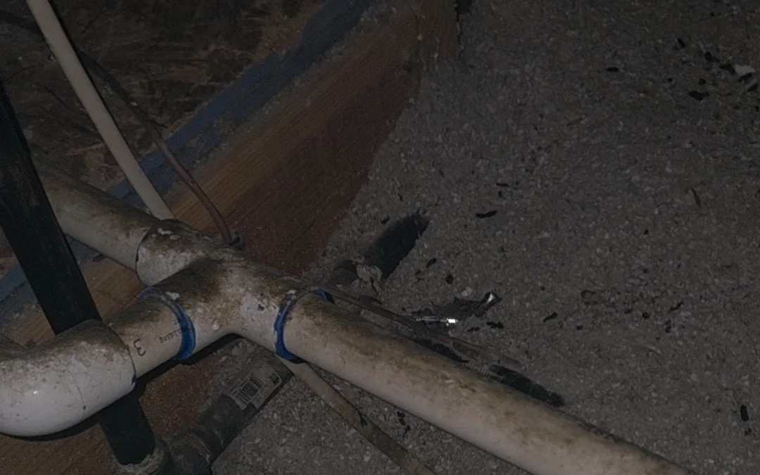 Plumbing runs and bare dirt inside a home crawlspace during a rodent inspection