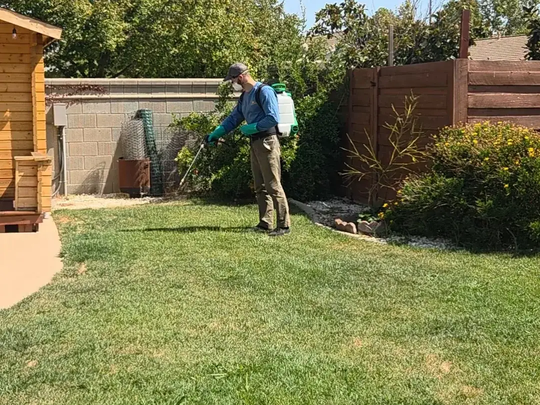 Technician misting a rear fence line and shaded planting