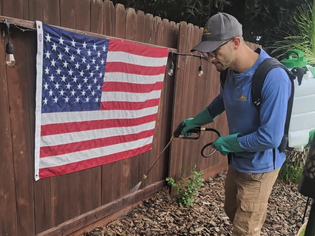 Technician treating a mulch bed along a fence where ant trails run