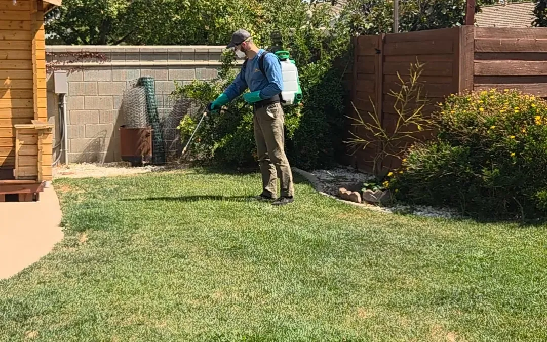 Summit Pest Control technician spraying a barrier treatment along a backyard fence line