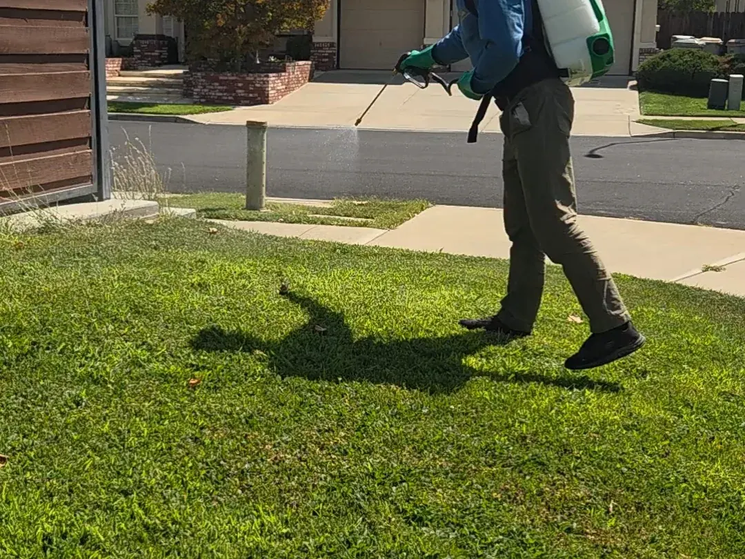 Technician treating a front lawn on a routine service visit