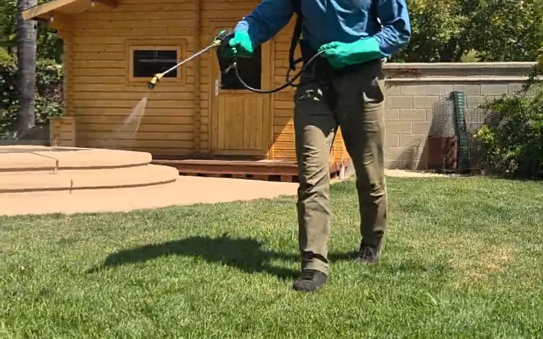 Technician applying a yard mist treatment across a back lawn