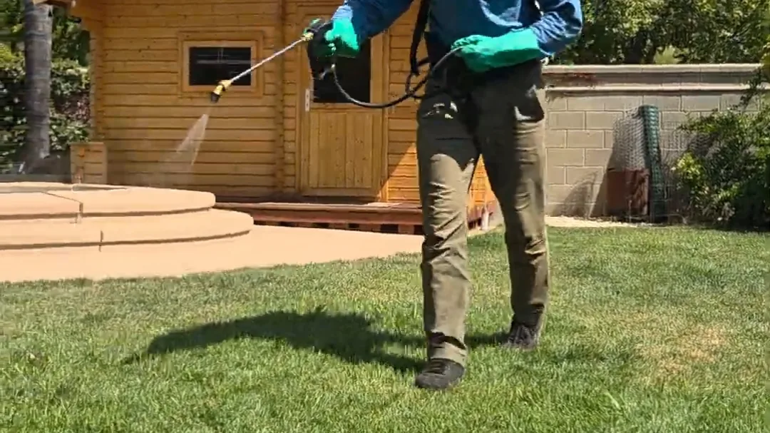 Technician applying a yard mist treatment across a back lawn