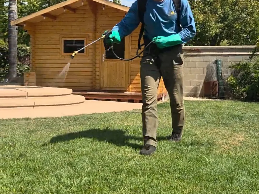 Technician applying a yard mist treatment across a back lawn