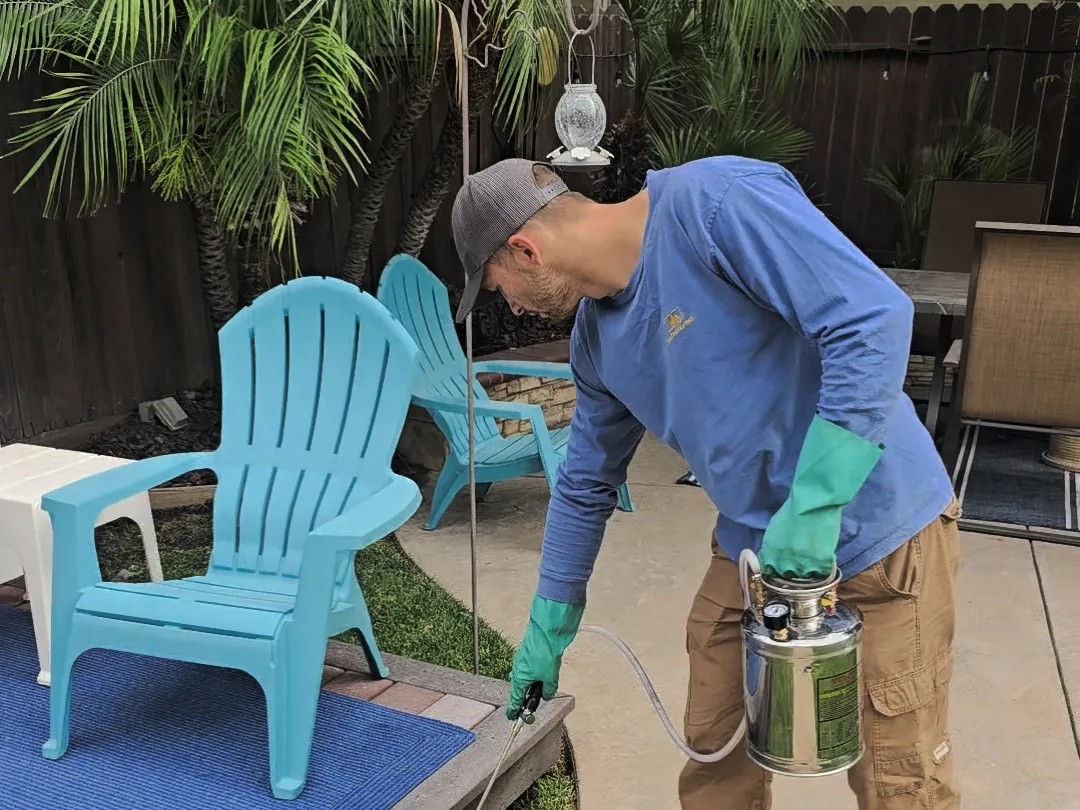 Technician treating a backyard patio edge with a hand sprayer
