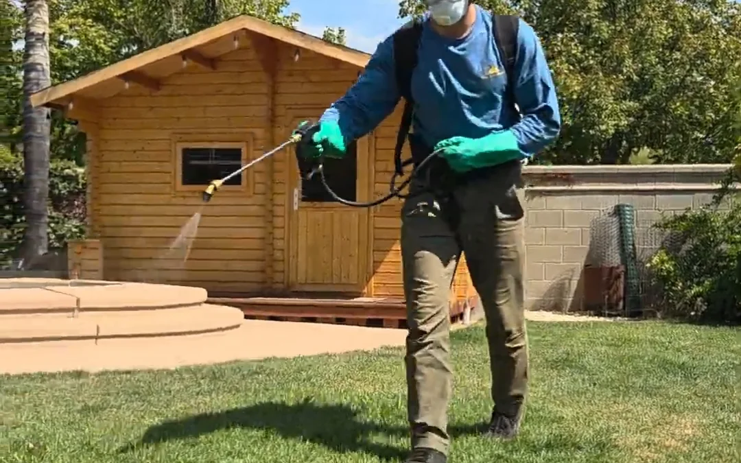 Summit Pest Control technician treating the exterior of a backyard shed