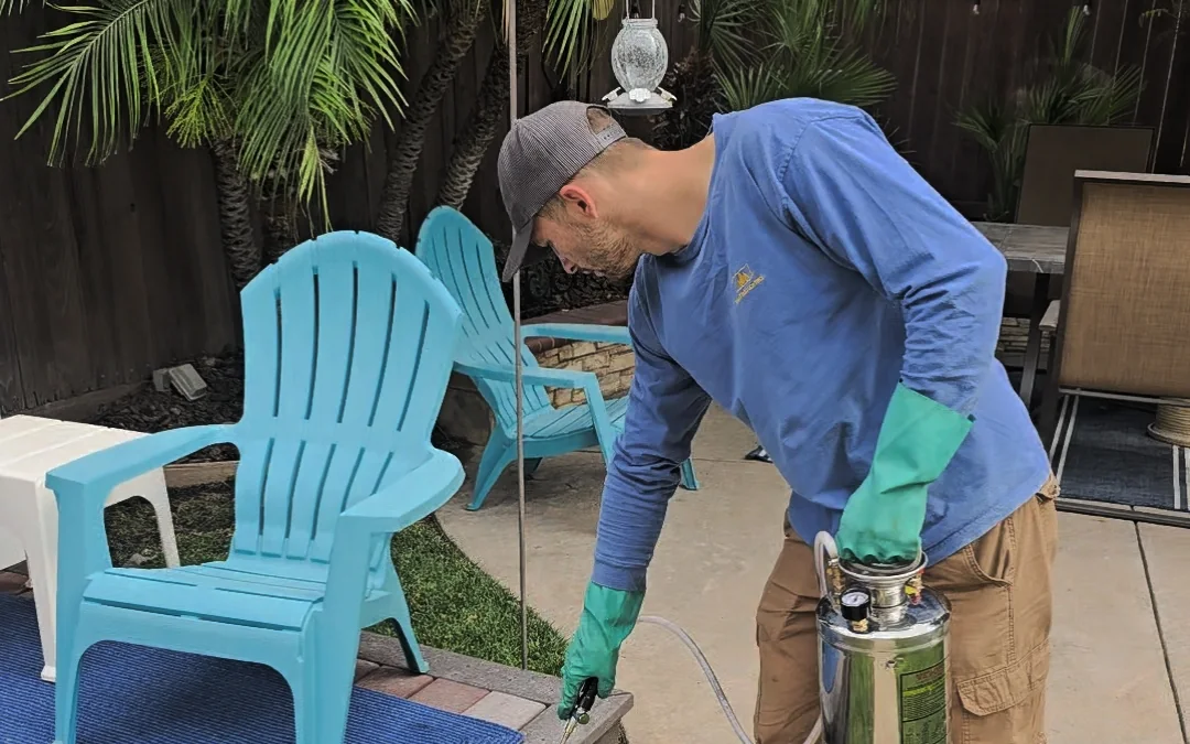 Summit Pest Control technician hand-spraying a backyard patio edge