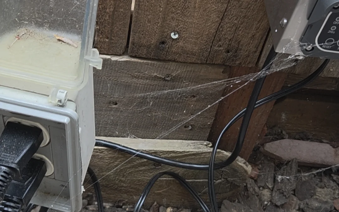Spider webbing around an exterior utility box before treatment