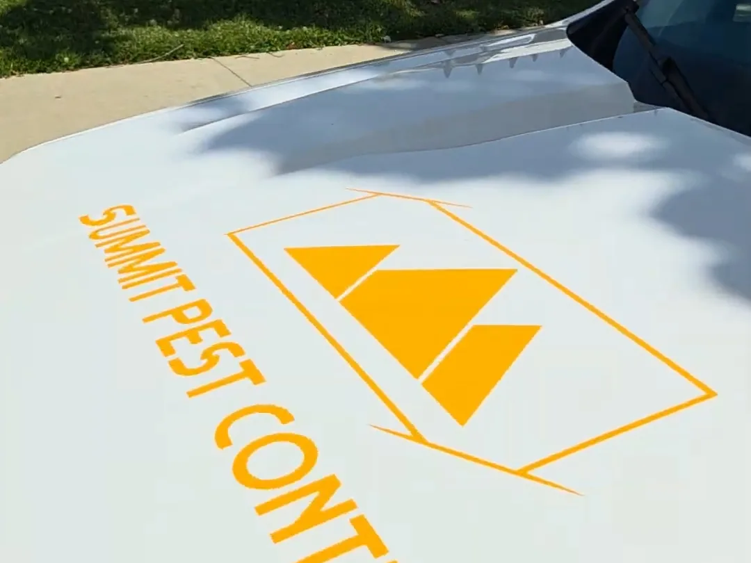 The Summit Pest Control wordmark on the company service truck